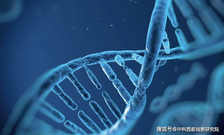 脊髓损伤最新突破结果,脊髓损伤最新突破结果，重拾旅行的美好，探索自然美景，寻找内心的宁静之地