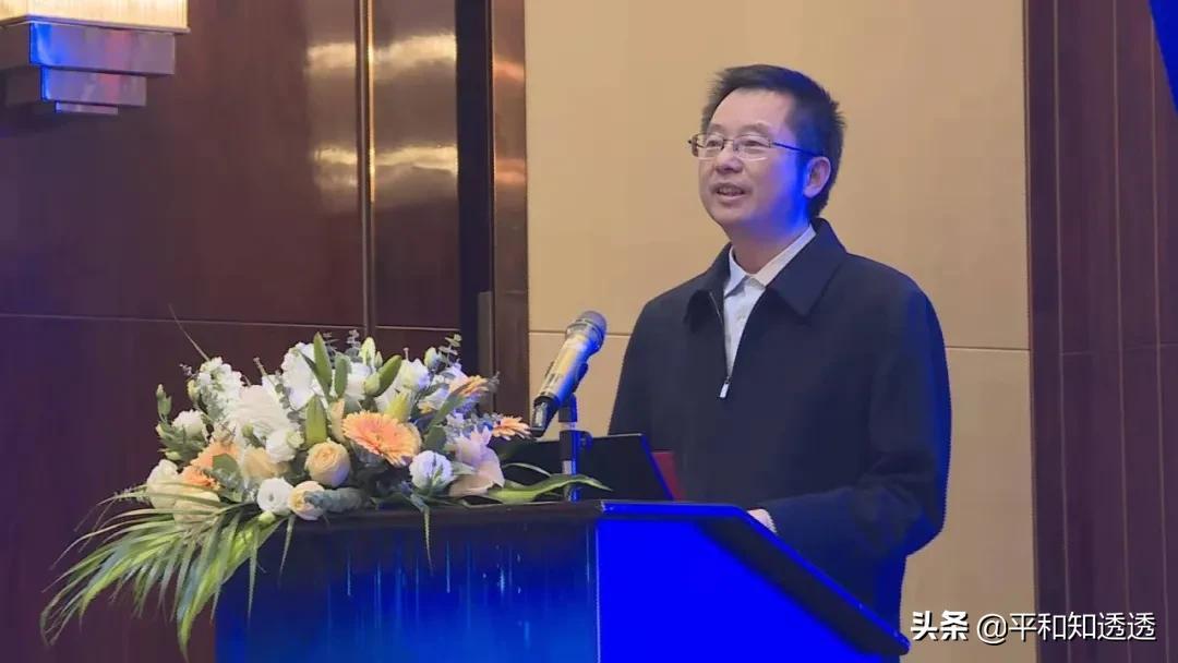 生态梦网最新招聘启事，共赴自然探索之旅，寻找内心平和与宁静的伙伴