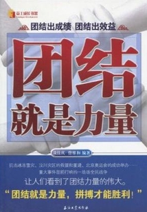时代背景下的团结力量，大团结的最新解读与探讨