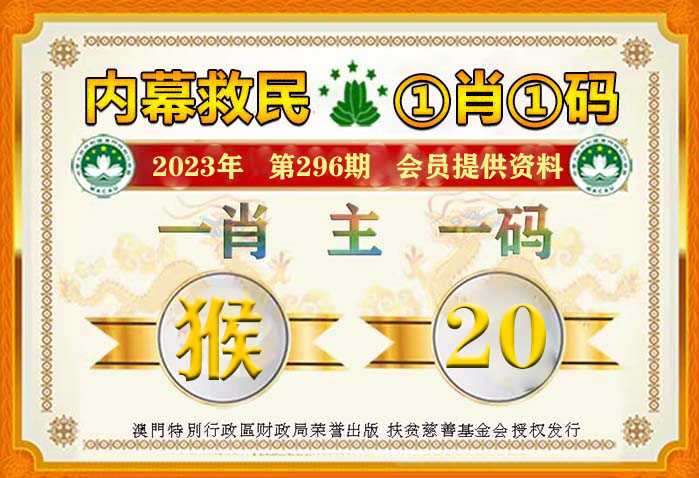 一肖一码100-准资料,专业执行问题_组织版3.978