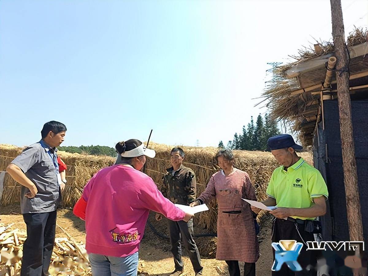 鲁屯镇最新新闻速递，关注焦点与动态更新📣