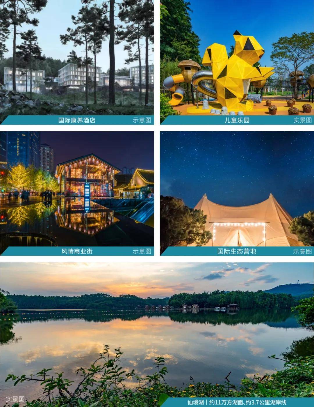 ST金泰最新动态，自然美景探索之旅，寻找内心平和与宁静