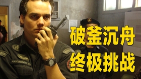 豆瓣最新电影票房深度解析，探究票房背后的价值秘密