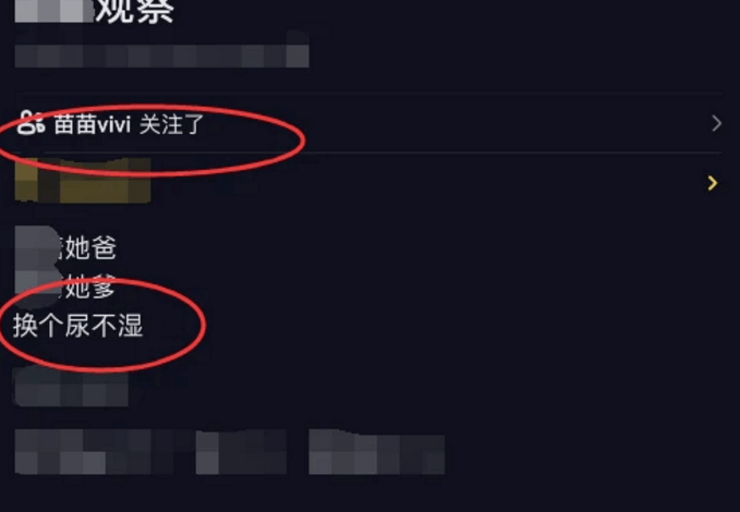 最新快播播放器，爱的传递与温馨陪伴的日常