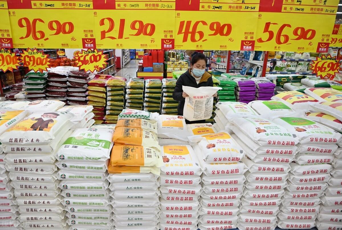 进口小麦价格最新行情详解，获取与分析方法指南